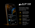 💎 FlipHub VIP
